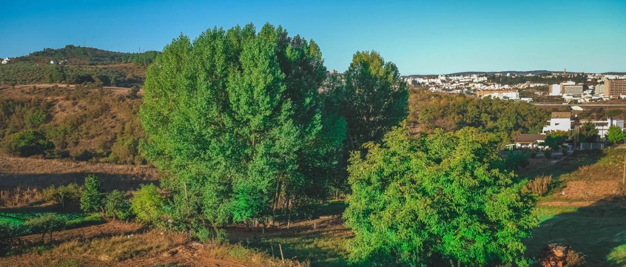 Alojamento Local Do Arado Bragança Zewnętrze zdjęcie